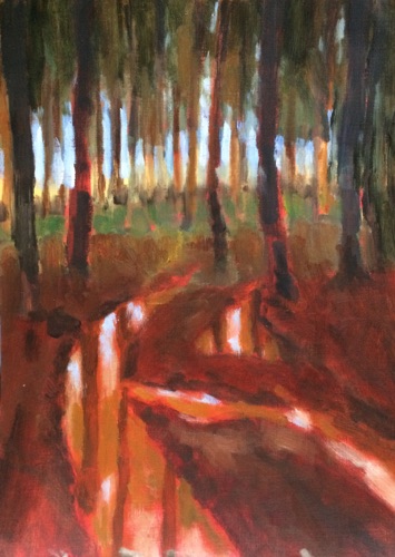 Through the trees